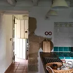 Abejas 1 De El Vergel De Chilla *
