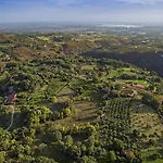 Abejas 1 De El Vergel De Chilla * Candeleda
