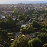 Abejas 1 De El Vergel De Chilla * Candeleda