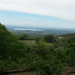 Abejas 1 De El Vergel De Chilla Feriehus