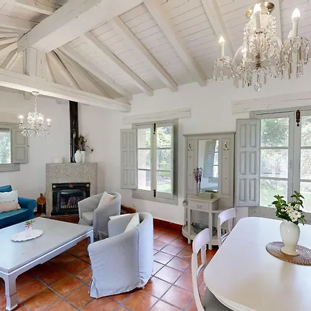 Abejas 1 De El Vergel De Chilla * 칸델레다