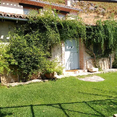 Abejas 1 De El Vergel De Chilla * 칸델레다