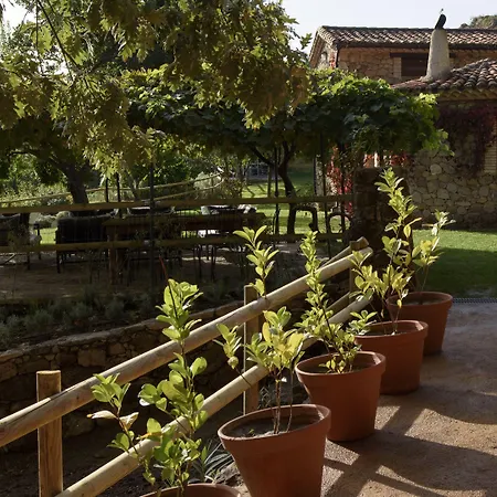 Abejas 1 De El Vergel De Chilla Holiday home Candeleda