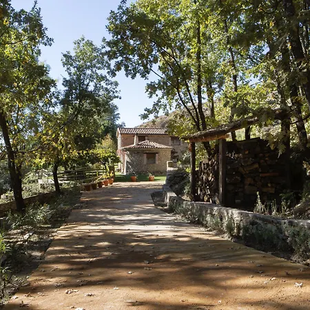 Abejas 1 De El Vergel De Chilla *