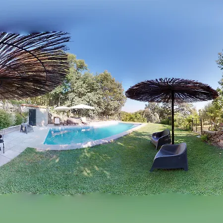 Abejas 1 De El Vergel De Chilla Candeleda