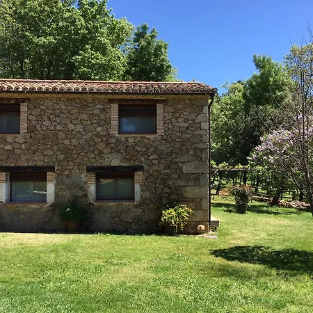 Abejas 1 De El Vergel De Chilla * Candeleda