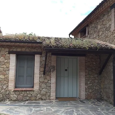 Abejas 1 De El Vergel De Chilla * Candeleda