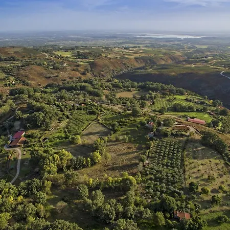 Abejas 1 De El Vergel De Chilla * Candeleda