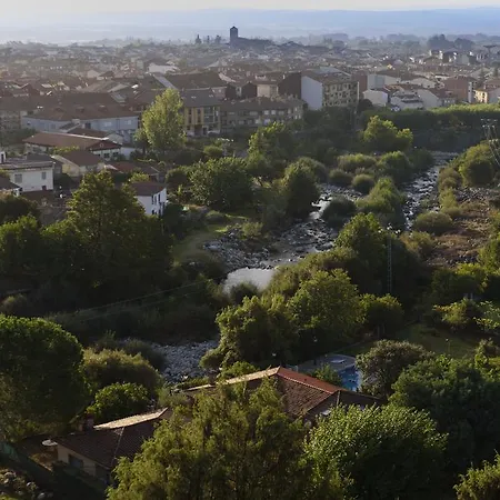 Abejas 1 De El Vergel De Chilla * Candeleda