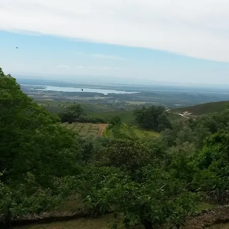 Abejas 1 De El Vergel De Chilla 펜션