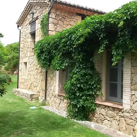 Abejas 1 De El Vergel De Chilla