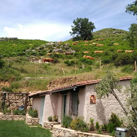 Abejas 1 De El Vergel De Chilla * Candeleda