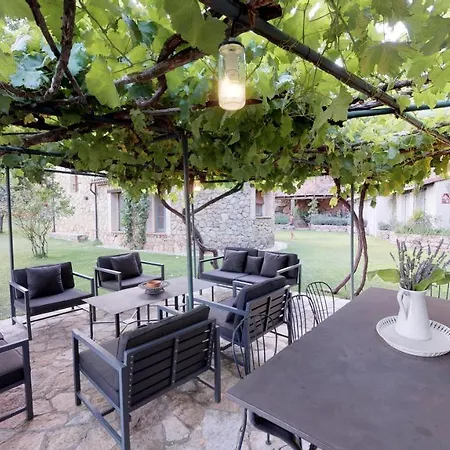 Abejas 1 De El Vergel De Chilla Candeleda