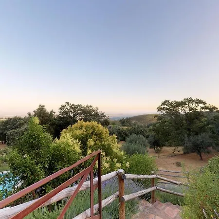 Abejas 1 De El Vergel De Chilla *