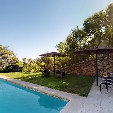 Abejas 1 De El Vergel De Chilla