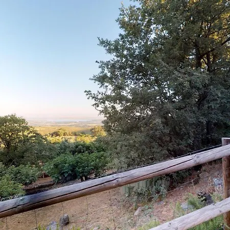 Abejas 1 De El Vergel De Chilla