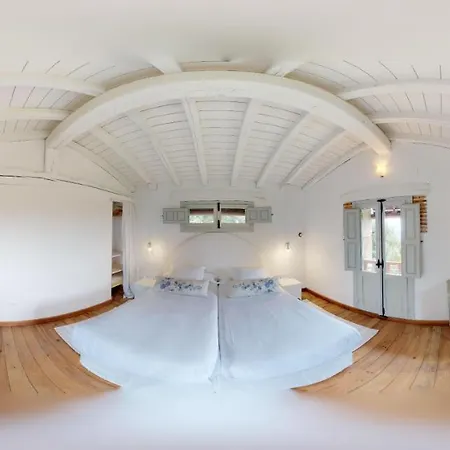 Abejas 1 De El Vergel De Chilla *