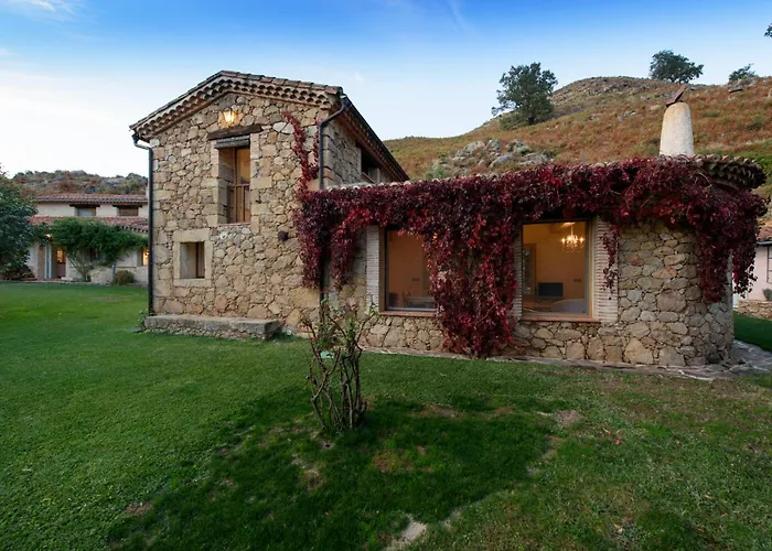 El Vergel De Chilla Son 3 Abejas 1 Abejas 2 Y Libélula *