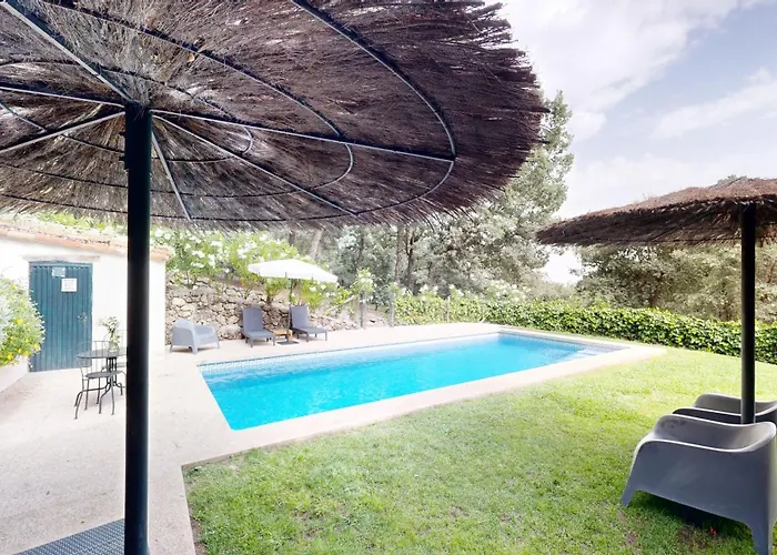 El Vergel De Chilla Son 3 Abejas 1 Abejas 2 Y Libélula Сasa de vacaciones *