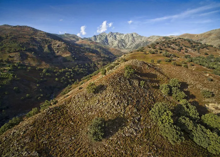 Сasa de vacaciones El Vergel De Chilla Son 3 Abejas 1 Abejas 2 Y Libélula