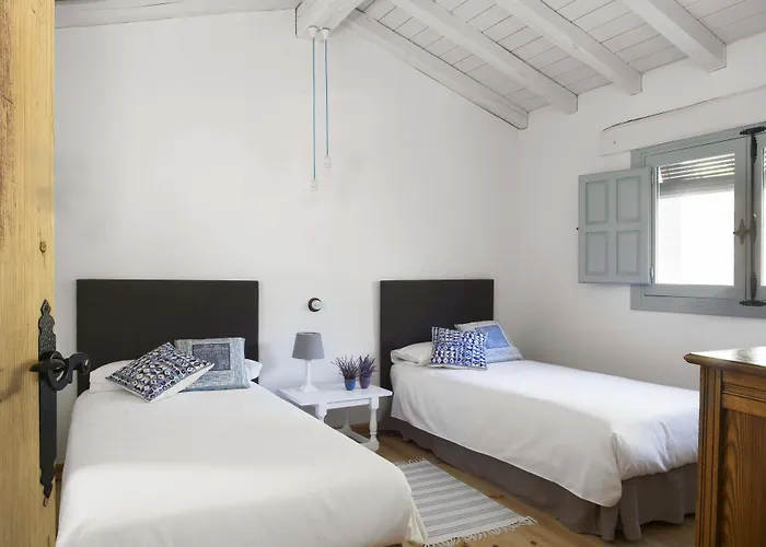 El Vergel De Chilla Son 3 Abejas 1 Abejas 2 Y Libélula *