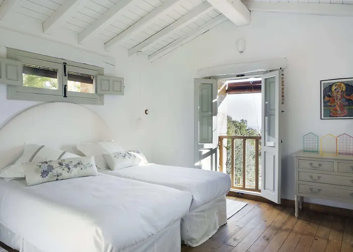 Abejas 1 De El Vergel De Chilla