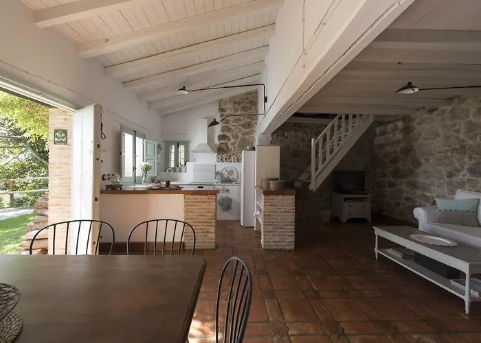 El Vergel De Chilla Son 3 Abejas 1 Abejas 2 Y Libélula *