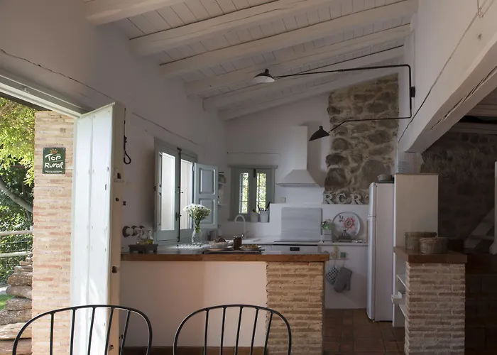 El Vergel De Chilla Son 3 Abejas 1 Abejas 2 Y Libélula *