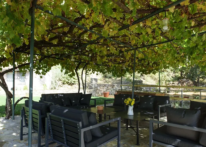 El Vergel De Chilla Son 3 Abejas 1 Abejas 2 Y Libélula Candeleda