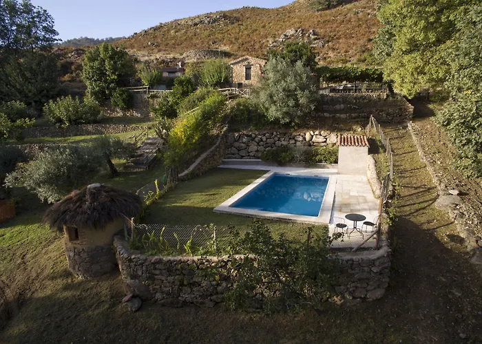 El Vergel De Chilla Son 3 Abejas 1 Abejas 2 Y Libélula Candeleda