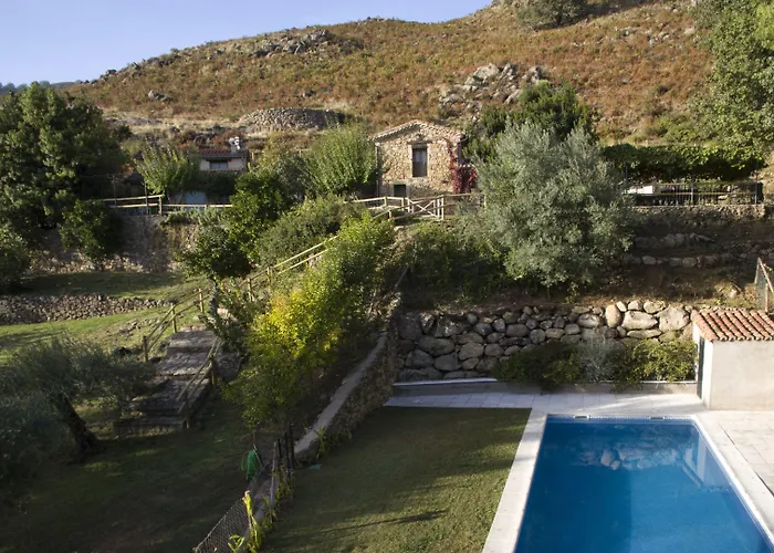 El Vergel De Chilla Son 3 Abejas 1 Abejas 2 Y Libélula Candeleda