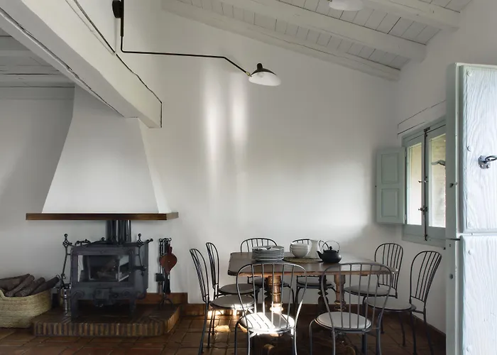 Abejas 1 De El Vergel De Chilla *