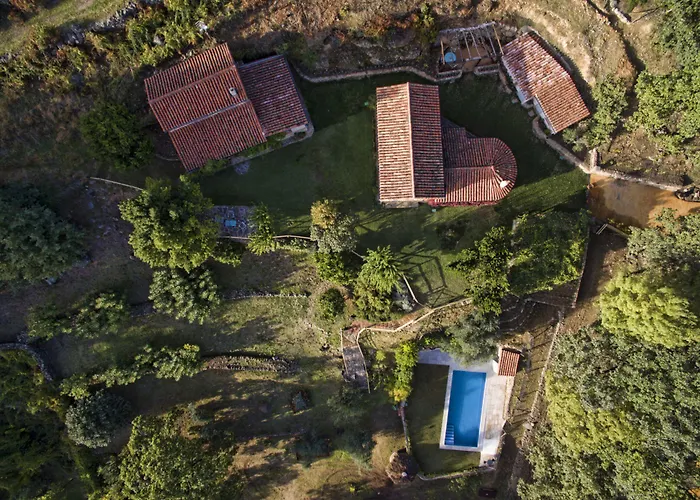 El Vergel De Chilla Son 3 Abejas 1 Abejas 2 Y Libélula