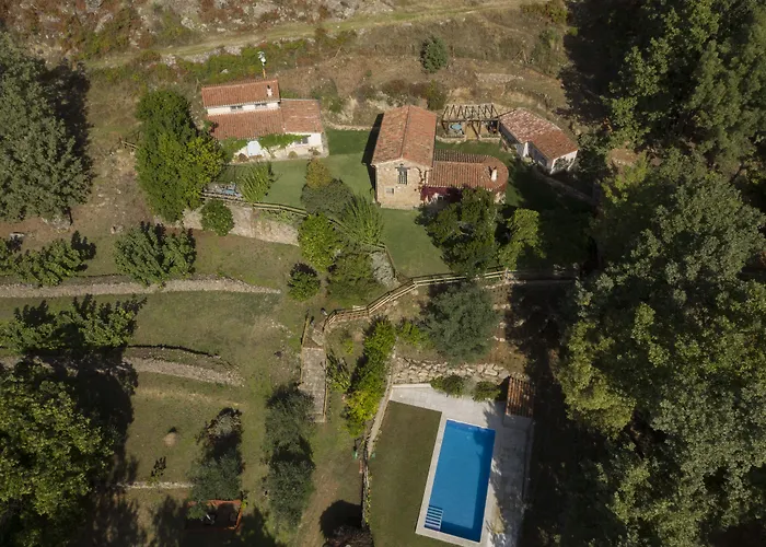 Abejas 1 De El Vergel De Chilla