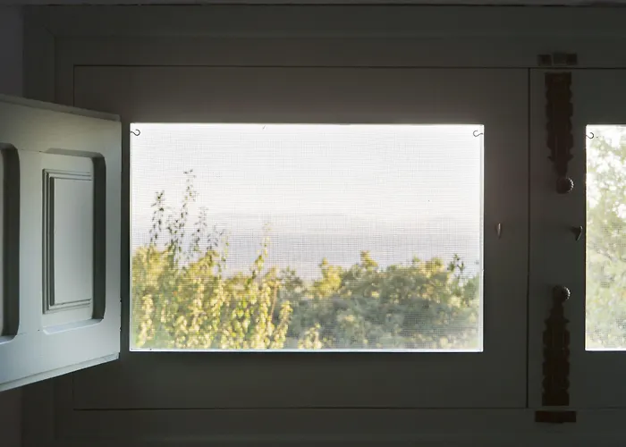 Abejas 1 De El Vergel De Chilla 칸델레다