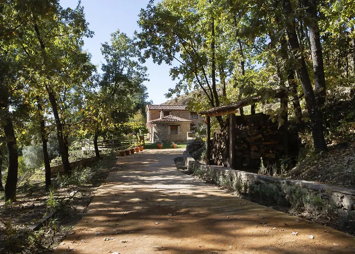 Abejas 1 De El Vergel De Chilla *