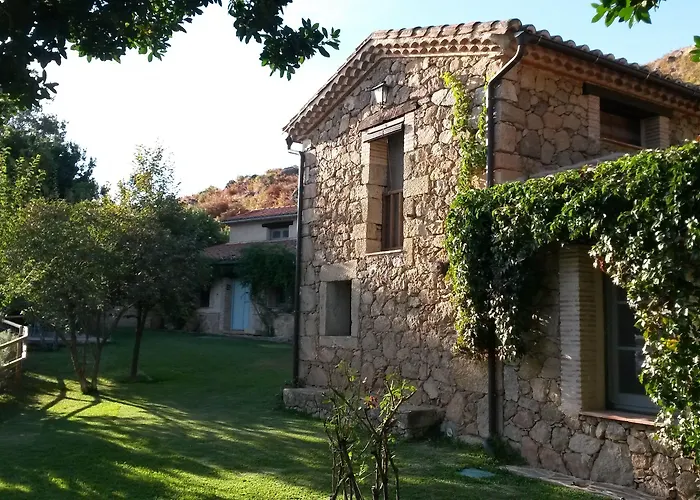 El Vergel De Chilla Son 3 Abejas 1 Abejas 2 Y Libélula * Candeleda