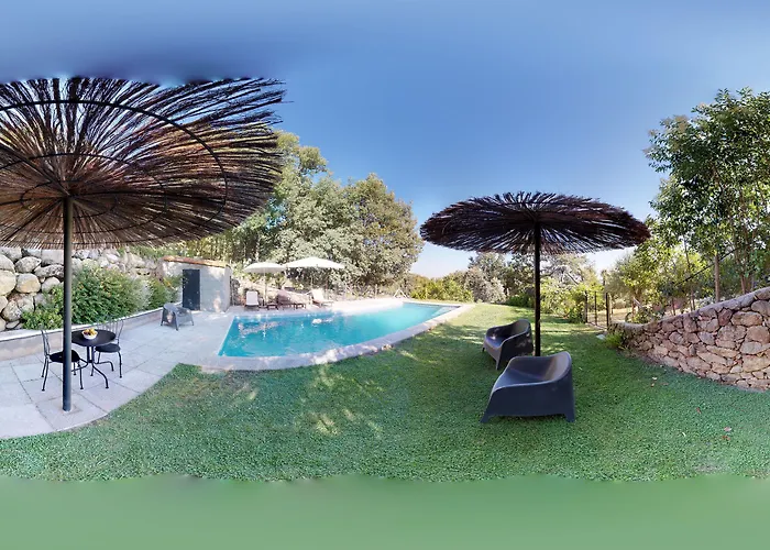 Abejas 1 De El Vergel De Chilla 칸델레다