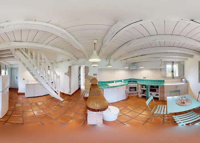 El Vergel De Chilla Son 3 Abejas 1 Abejas 2 Y Libélula * Candeleda