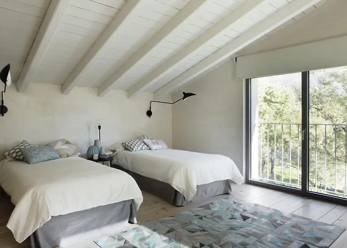 Abejas 1 De El Vergel De Chilla * 칸델레다