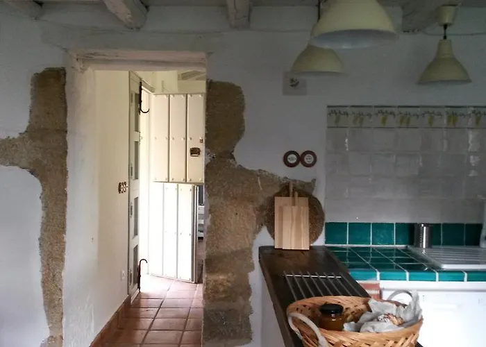 El Vergel De Chilla Son 3 Abejas 1 Abejas 2 Y Libélula *