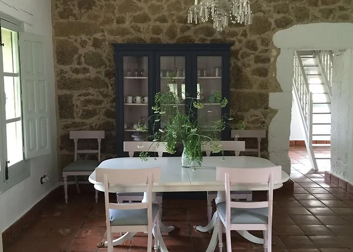 El Vergel De Chilla Son 3 Abejas 1 Abejas 2 Y Libélula