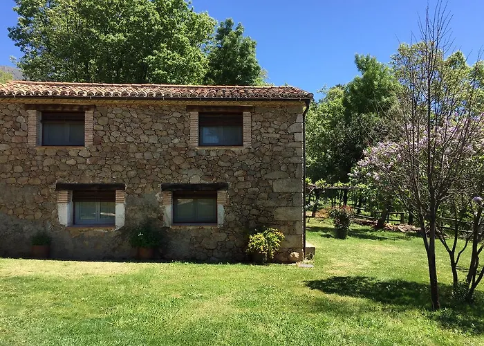 El Vergel De Chilla Son 3 Abejas 1 Abejas 2 Y Libélula * Candeleda