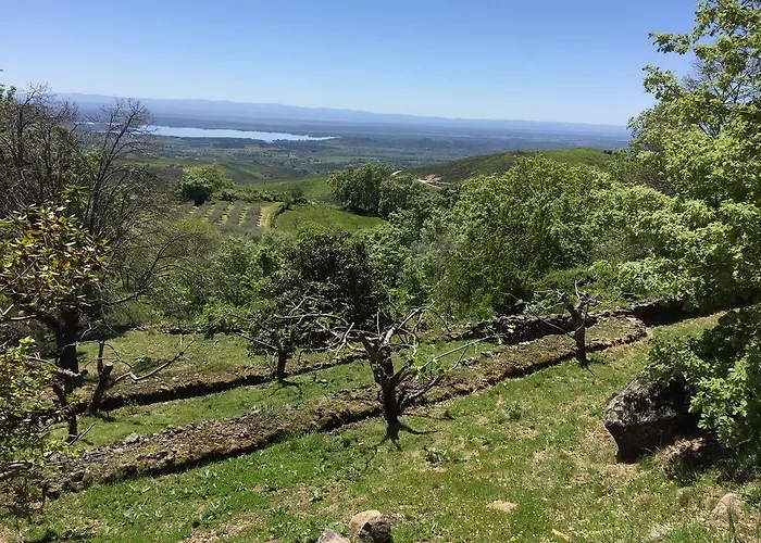 Сasa de vacaciones El Vergel De Chilla Son 3 Abejas 1 Abejas 2 Y Libélula