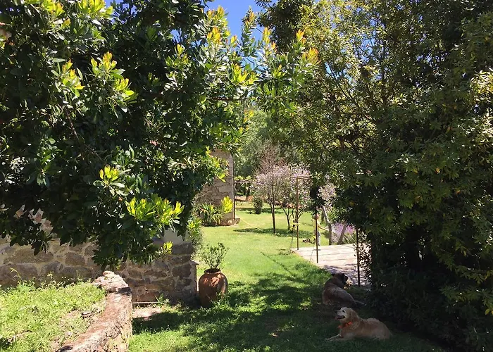 Abejas 1 De El Vergel De Chilla * 칸델레다