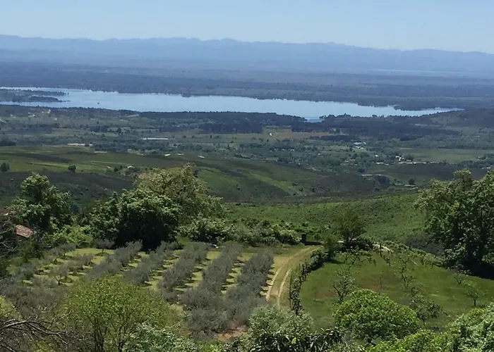 El Vergel De Chilla Son 3 Abejas 1 Abejas 2 Y Libélula Сasa de vacaciones *