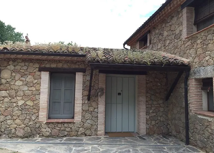 El Vergel De Chilla Son 3 Abejas 1 Abejas 2 Y Libélula * Candeleda