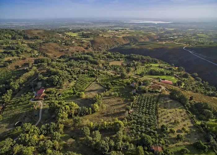 Abejas 1 De El Vergel De Chilla * 칸델레다