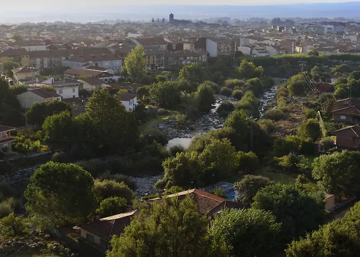 Abejas 1 De El Vergel De Chilla * 칸델레다