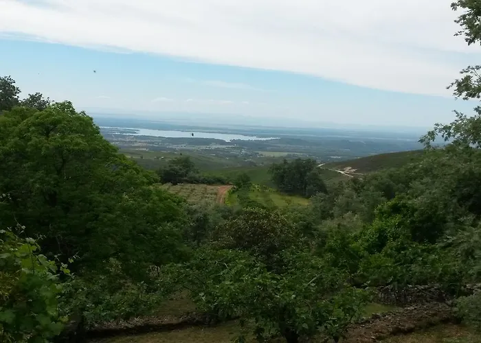 El Vergel De Chilla Son 3 Abejas 1 Abejas 2 Y Libélula Сasa de vacaciones